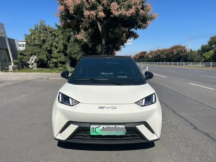 BYD Seagull 2024 Model Honor Edition 305KM Free Edition – фото 2