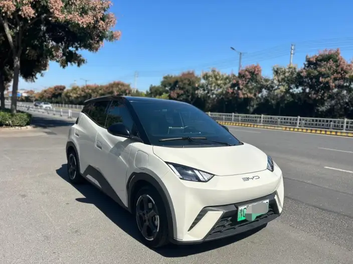 BYD Seagull 2024 Model Honor Edition 305KM Free Edition – фото 3