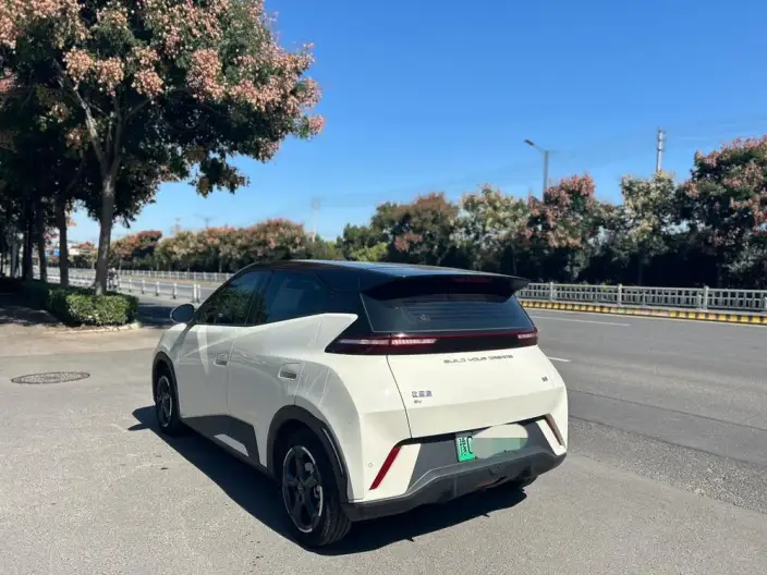 BYD Seagull 2024 Model Honor Edition 305KM Free Edition – фото 5