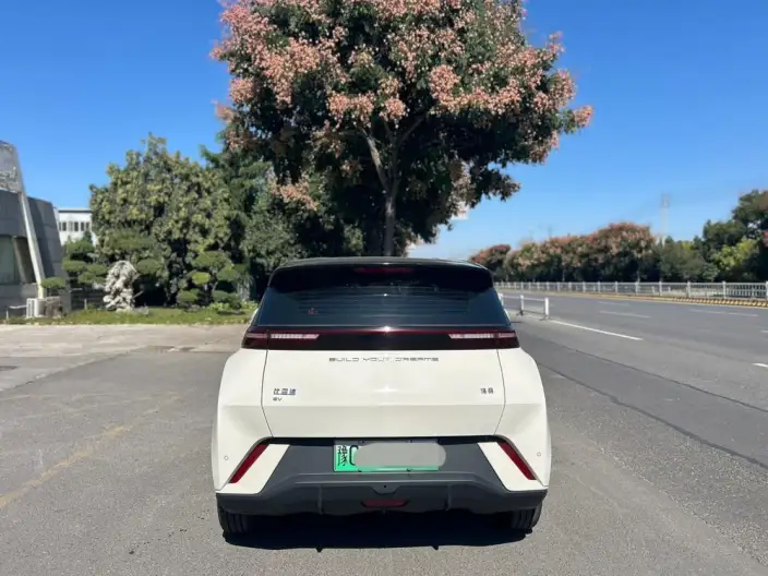 BYD Seagull 2024 Model Honor Edition 305KM Free Edition – фото 6