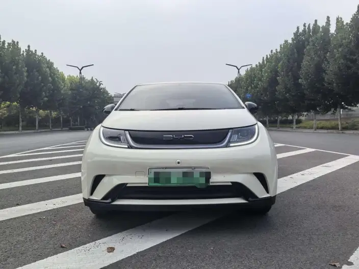BYD Dolphin 2023 Model Free Edition – фото 2