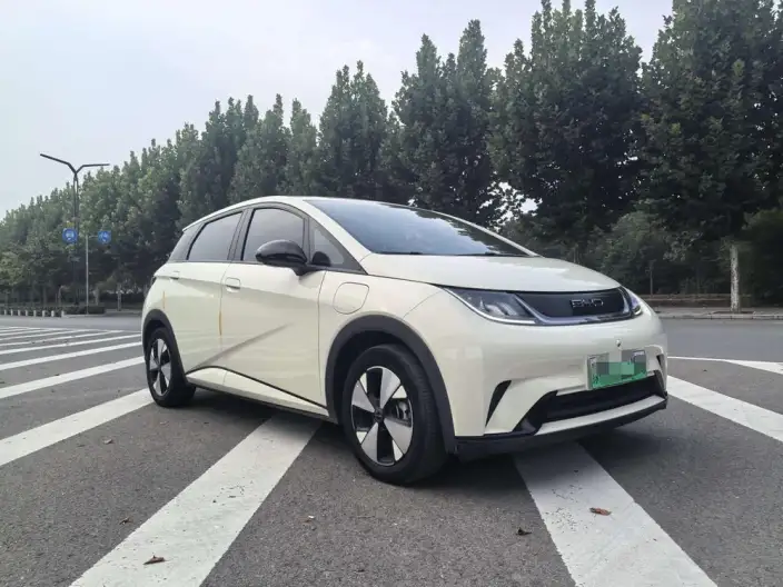 BYD Dolphin 2023 Model Free Edition – фото 3