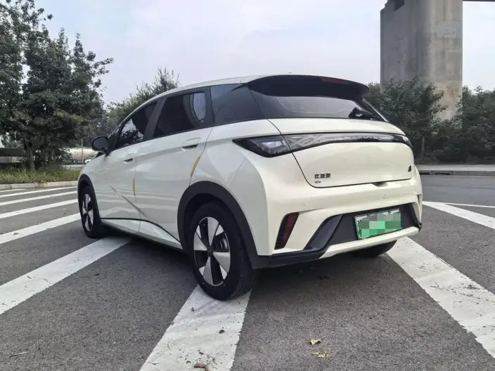BYD Dolphin 2023 Model Free Edition – фото 4