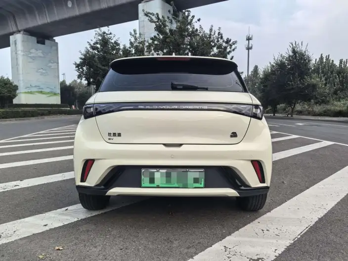 BYD Dolphin 2023 Model Free Edition – фото 5