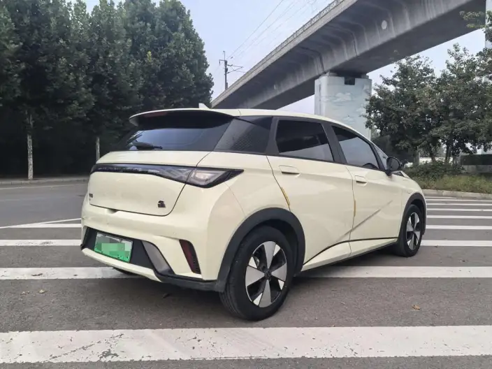 BYD Dolphin 2023 Model Free Edition – фото 6