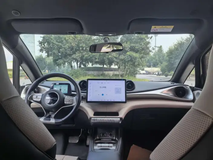 BYD Dolphin 2023 Model Free Edition – фото 7