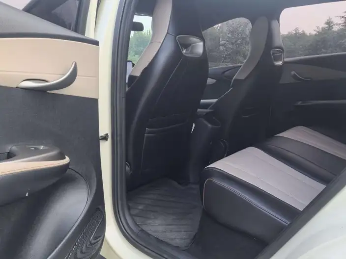 BYD Dolphin 2023 Model Free Edition – фото 9