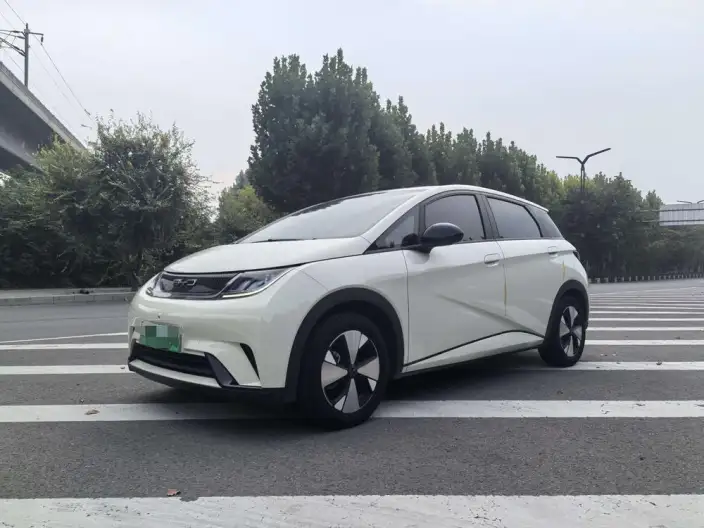BYD Dolphin 2023 Model Free Edition – фото 10