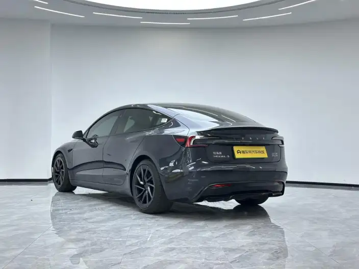 Model 3 2024 Model High performance All-wheel drive version – фото 5