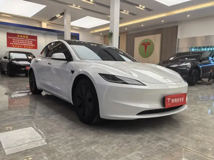 Model 3 2025 Model Rear-wheel drive version – фото 3