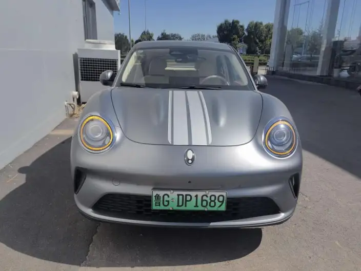 ORA Good Cat 2025 Model 430km Zunrong Model – фото 2
