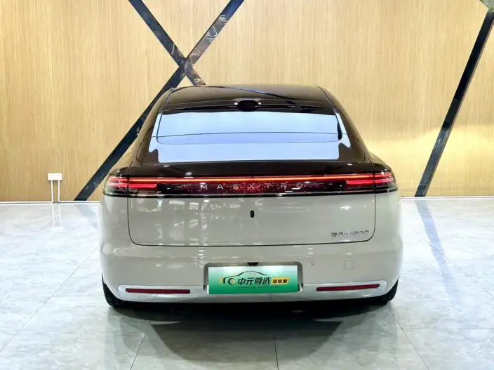 Zunjie S800 2025 Model Extended Range Starlight Executive Edition 4 seat – фото 5