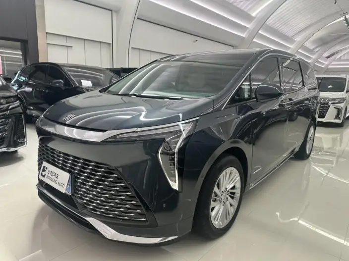 Century 2025 Model 2.0T VII seat Yunshi Edition – фото 1