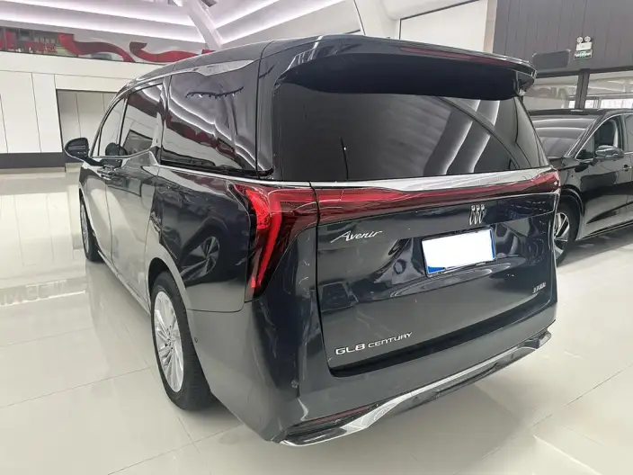 Century 2025 Model 2.0T VII seat Yunshi Edition – фото 3
