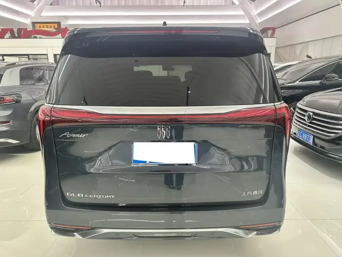 Century 2025 Model 2.0T VII seat Yunshi Edition – фото 4