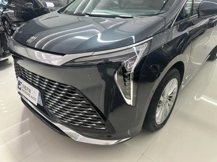 Century 2025 Model 2.0T VII seat Yunshi Edition – фото 6
