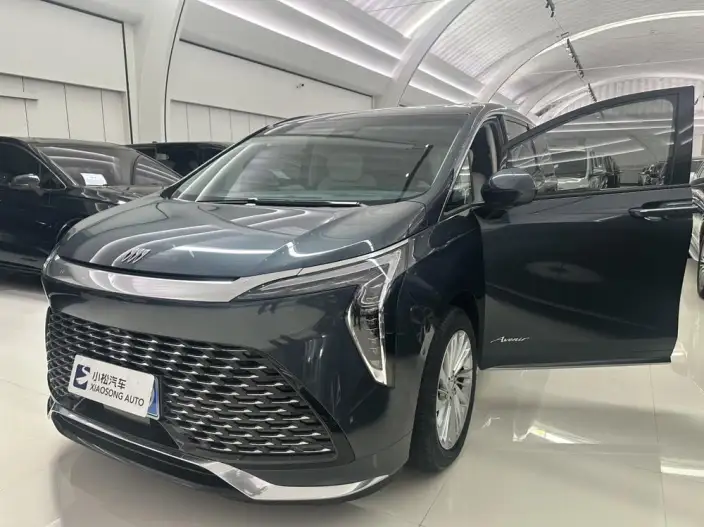 Century 2025 Model 2.0T VII seat Yunshi Edition – фото 7
