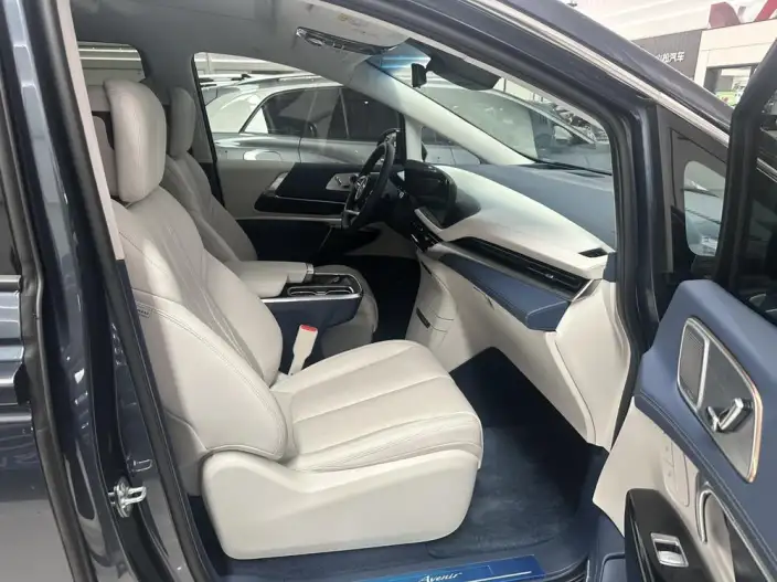 Century 2025 Model 2.0T VII seat Yunshi Edition – фото 10