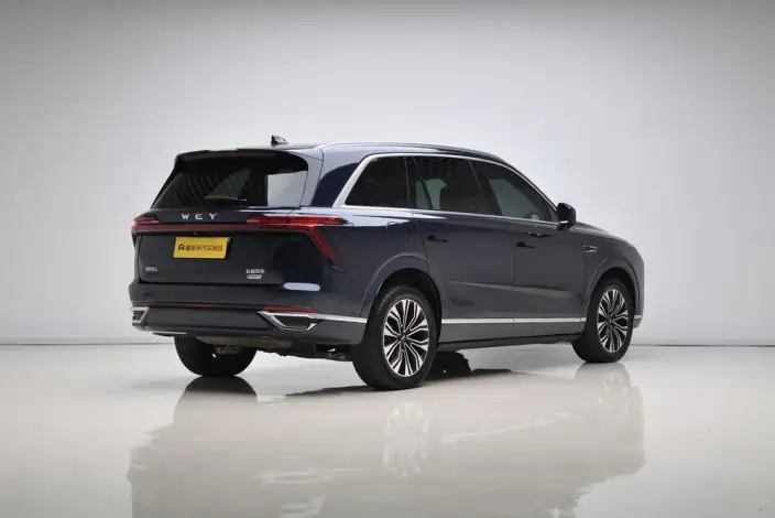 Wey Blue Mountain 2023 Model 4WD Ultra-long Endurance – фото 7