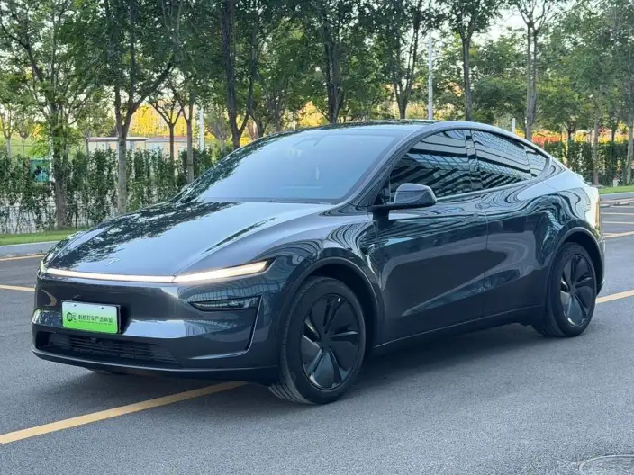 Model Y 2025 Model Rear-wheel drive version – фото 1