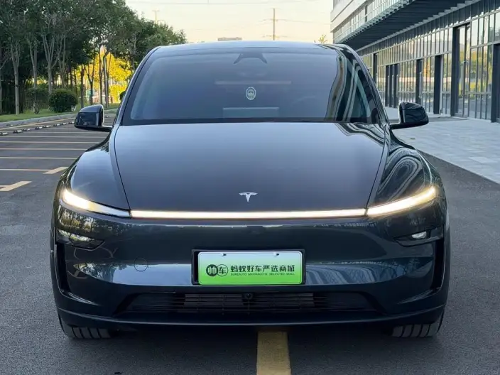 Model Y 2025 Model Rear-wheel drive version – фото 2