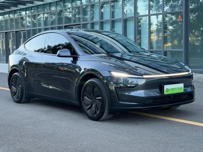Model Y 2025 Model Rear-wheel drive version – фото 3