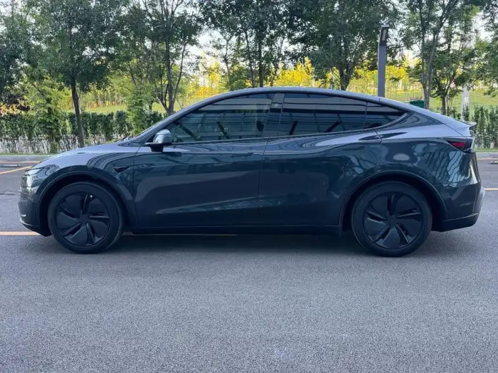 Model Y 2025 Model Rear-wheel drive version – фото 4
