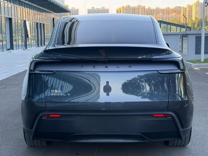 Model Y 2025 Model Rear-wheel drive version – фото 6