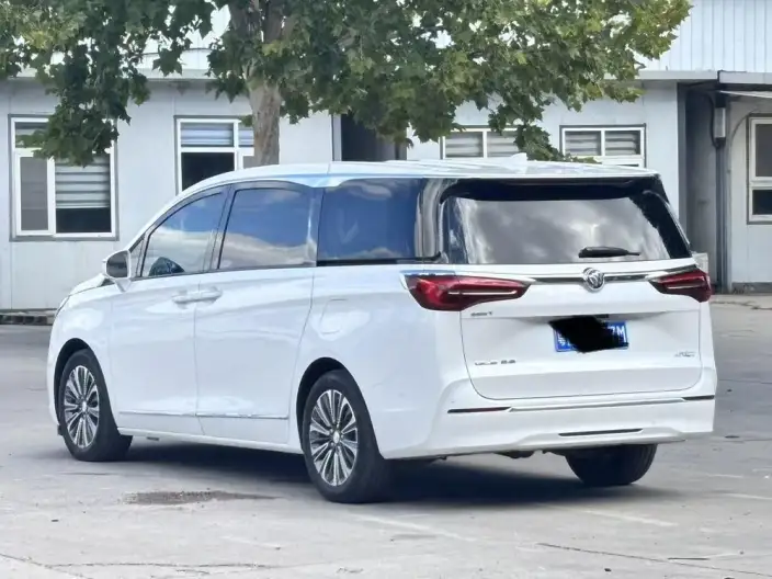 Buick GL8 2022 Model ES Luzun 653T Flagship Model – фото 3