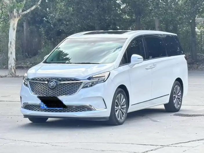 Buick GL8 2022 Model ES Luzun 653T Flagship Model – фото 10