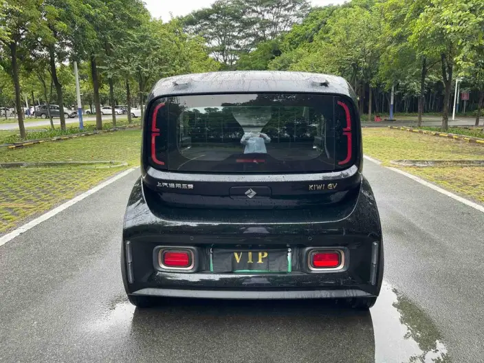 Baojun KiWi EV 2022 Model Designer Light Edition Ternary lithium – фото 6