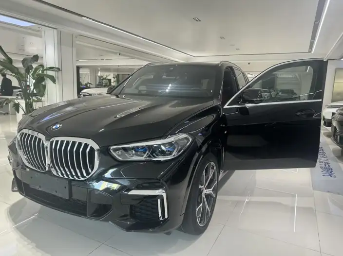 BMW X5 2022 Model Facelift xDrive 40Li M Sports Set – фото 8