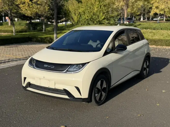 BYD Dolphin 2023 Model Free Edition – фото 1