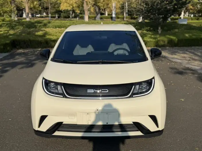 BYD Dolphin 2023 Model Free Edition – фото 2