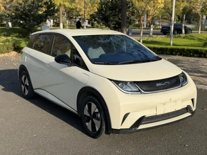 BYD Dolphin 2023 Model Free Edition – фото 3