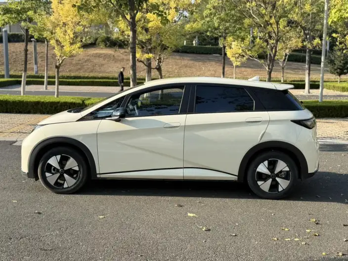 BYD Dolphin 2023 Model Free Edition – фото 4