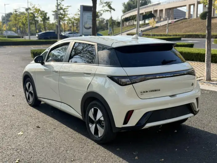 BYD Dolphin 2023 Model Free Edition – фото 5