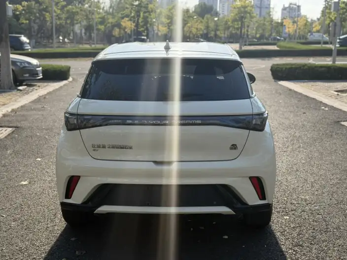 BYD Dolphin 2023 Model Free Edition – фото 6