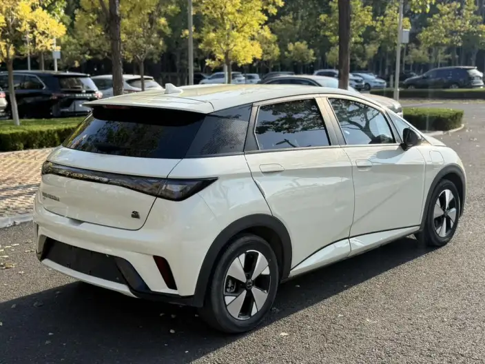 BYD Dolphin 2023 Model Free Edition – фото 7