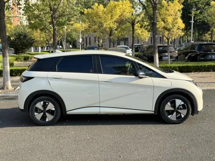 BYD Dolphin 2023 Model Free Edition – фото 8