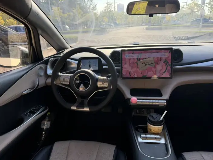 BYD Dolphin 2023 Model Free Edition – фото 10