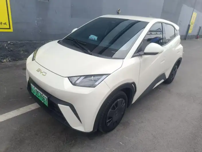 BYD Seagull 2024 Model Honor Edition 305KM Vitality Edition – фото 1