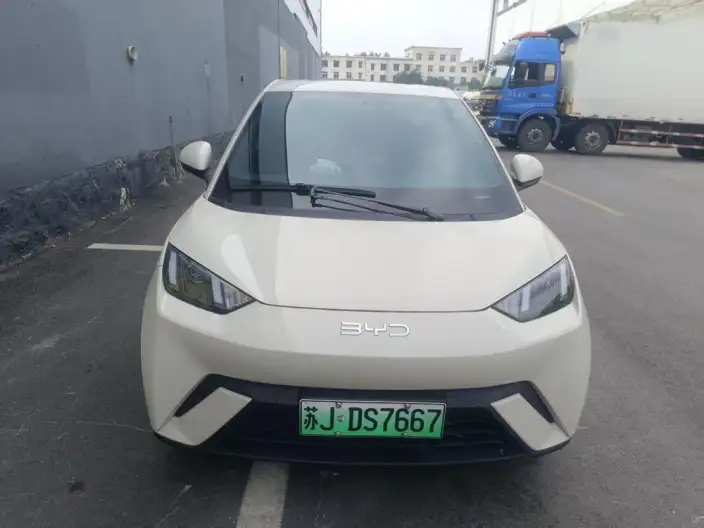 BYD Seagull 2024 Model Honor Edition 305KM Vitality Edition – фото 2