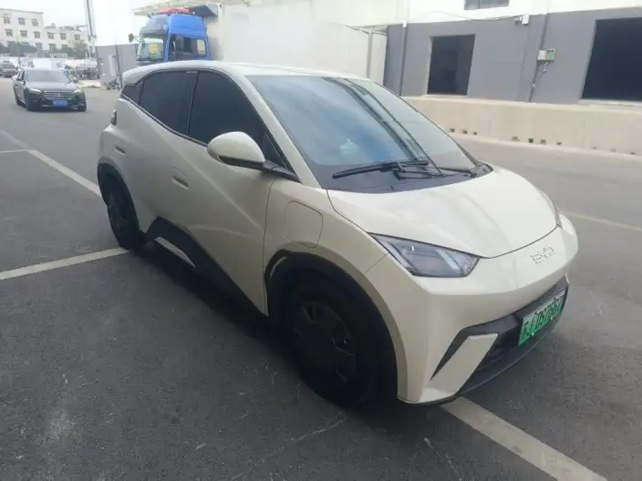 BYD Seagull 2024 Model Honor Edition 305KM Vitality Edition – фото 3