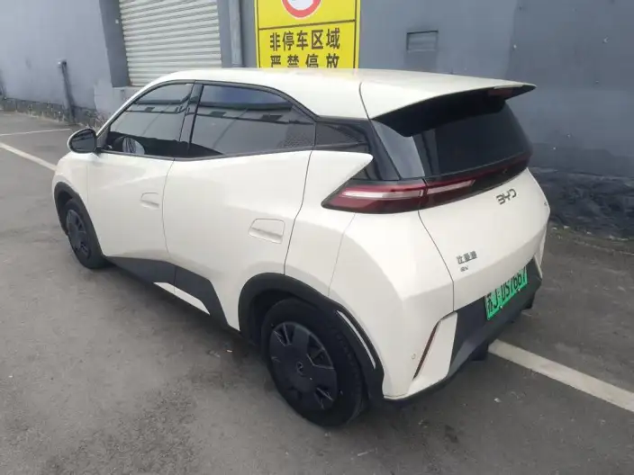 BYD Seagull 2024 Model Honor Edition 305KM Vitality Edition – фото 4