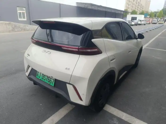 BYD Seagull 2024 Model Honor Edition 305KM Vitality Edition – фото 6