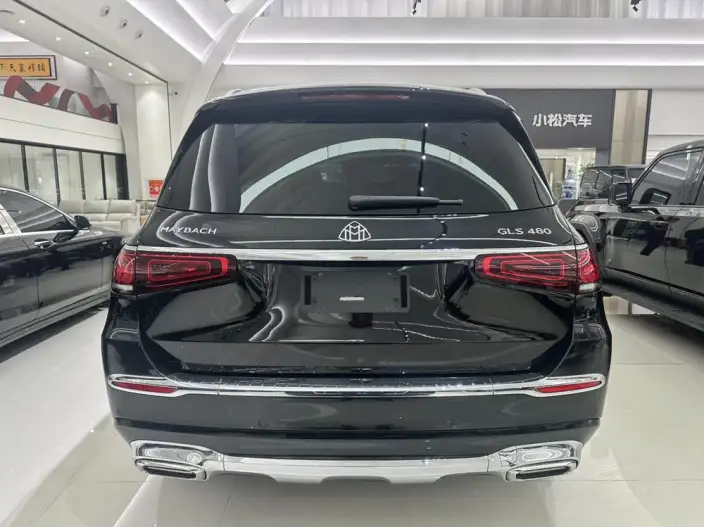 Maybach GLS 2022 Model GLS 480 4MATIC – фото 5