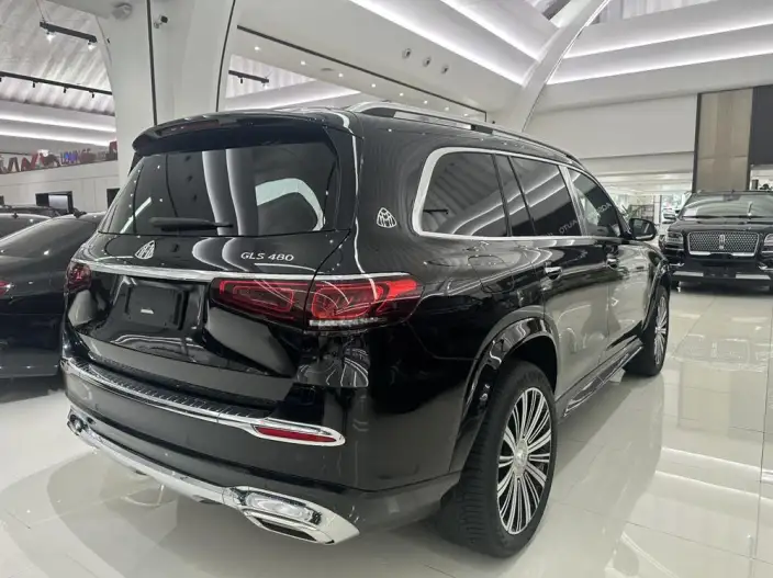 Maybach GLS 2022 Model GLS 480 4MATIC – фото 6