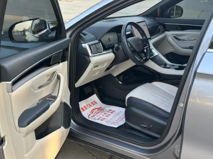 BYD Song PLUS EV 2023 Model Champion Edition 520KM Luxury Model – фото 9
