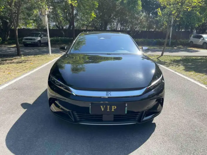 BYD Han EV 2023 Model Champion Edition 506KM Noble Model – фото 2